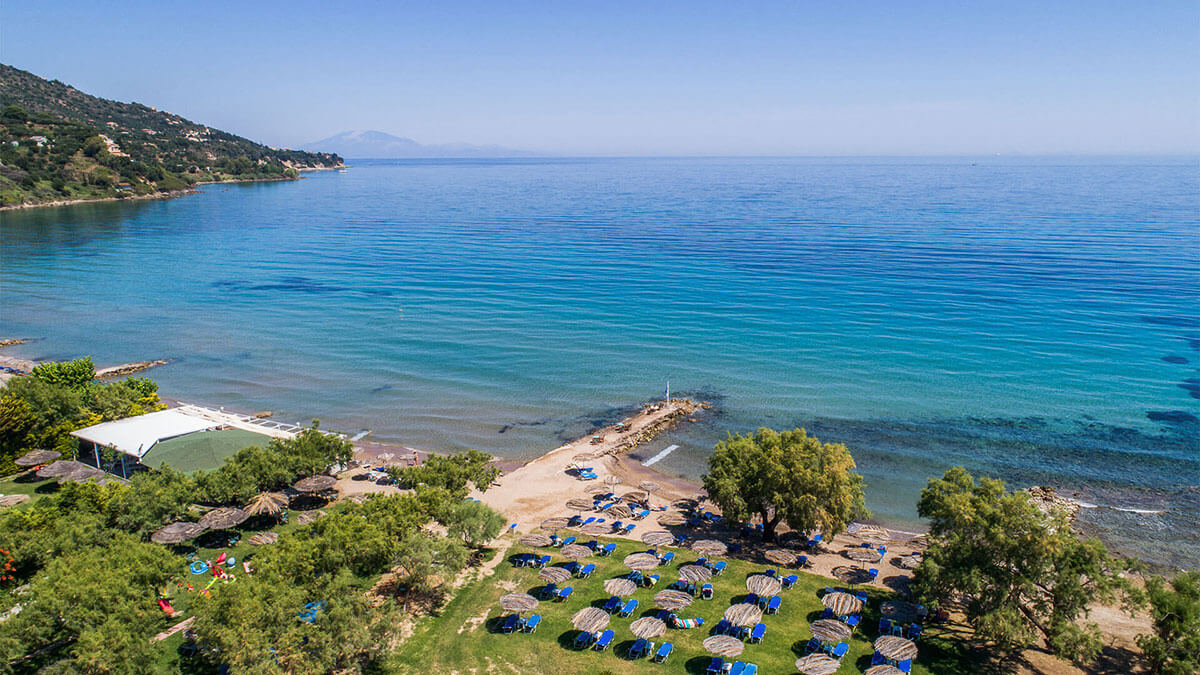 Zante Fiore Studios Kaminia Beach Vasillikos Zakynthos